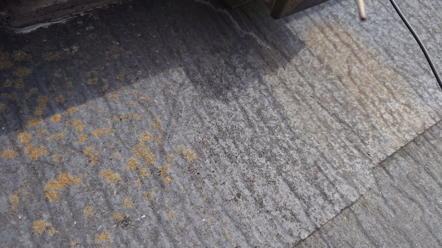 コロニアルNEO・拡大